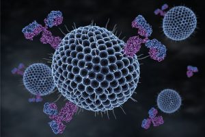 Current Techniques in Monoclonal Antibody Development